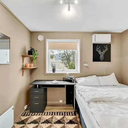 Newly Renovated Close To The Center! *
